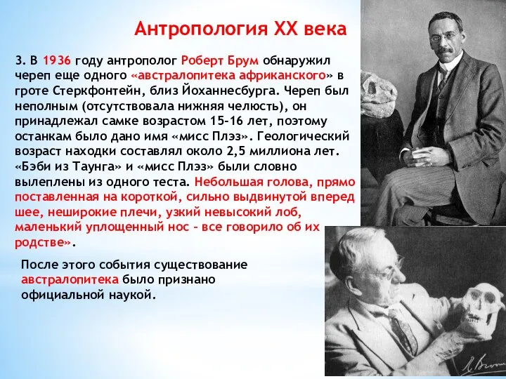 3. В 1936 году антрополог Роберт Брум обнаружил череп еще одного