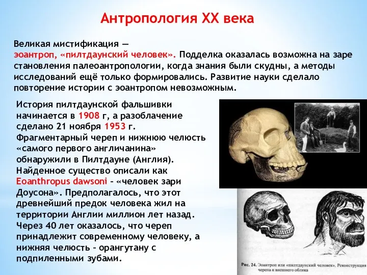 Антропология XX века Великая мистификация — эоантроп, «пилтдаунский человек». Подделка оказалась