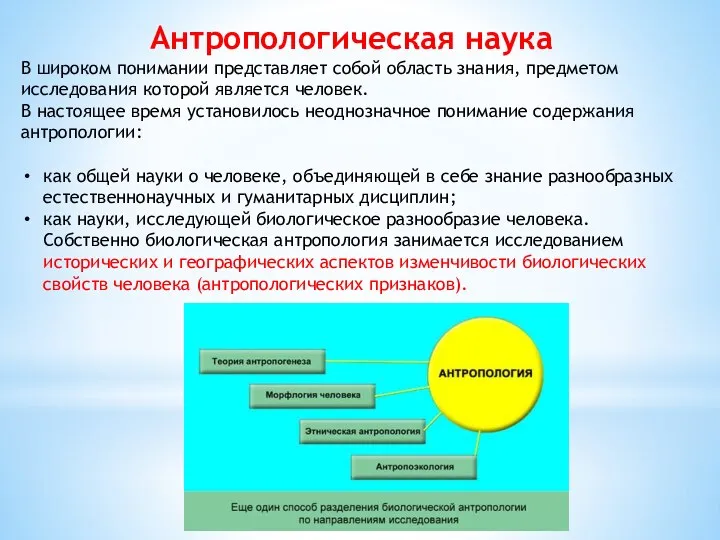 Антропологическая наука В широком понимании представляет собой область знания, предметом исследования