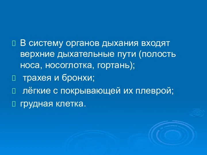 В систему органов дыхания входят верхние дыхательные пути (полость носа, носоглотка,