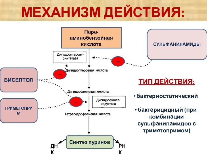 МЕХАНИЗМ ДЕЙСТВИЯ: УГНЕТЕНИЕ ТИП ДЕЙСТВИЯ: бактериостатический бактерицидный (при комбинации сульфаниламидов с