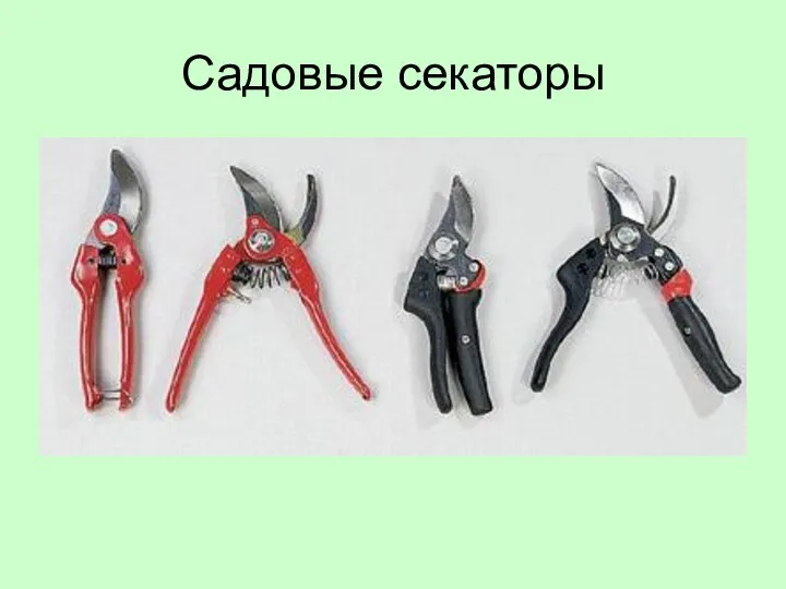 Садовые секаторы