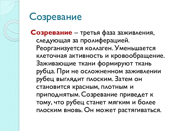 Созревание Созревание – третья фаза заживления, следующая за пролиферацией. Реорганизуется коллаген.