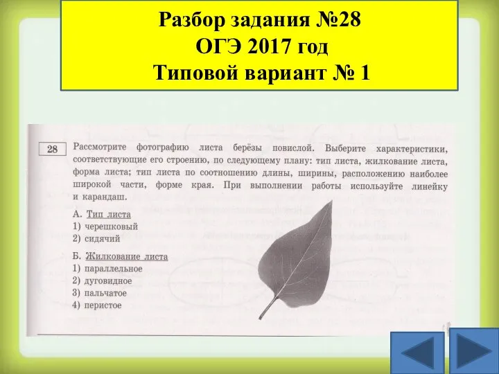 Разбор задания №28 ОГЭ 2017 год Типовой вариант № 1