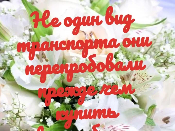 Не один вид транспорта они перепробовали прежде чем купить автомобиль…