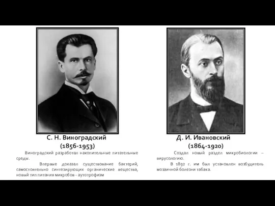 С. Н. Виноградский (1856-1953) Д. И. Ивановский (1864-1920) Создал новый раздел