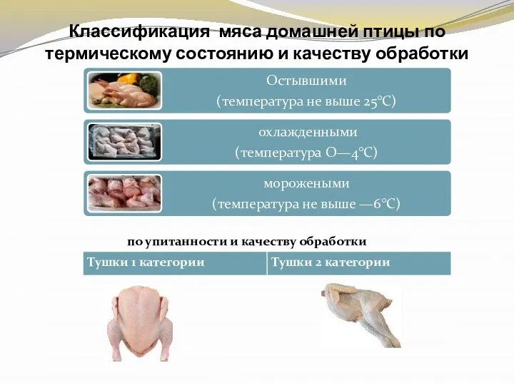 Классификация мяса домашней птицы по термическому состоянию и качеству обработки по упитанности и качеству обработки