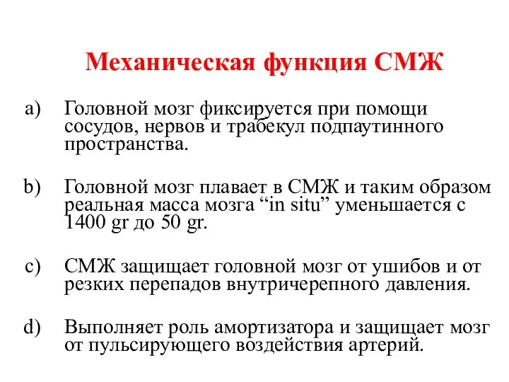 Механическая функция СМЖ Головной мозг фиксируется при помощи сосудов, нервов и