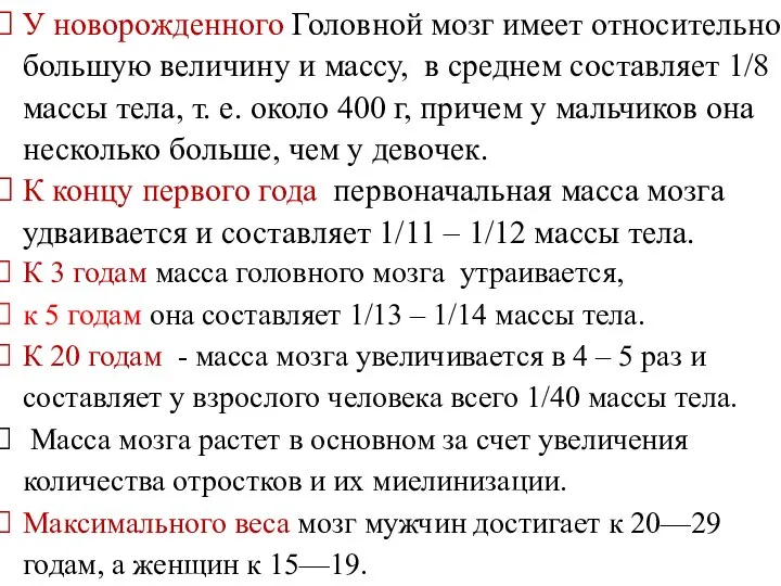 У новорожденного Головной мозг имеет относительно большую величину и массу, в