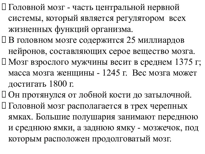 Головной мозг - часть центральной нервной системы, который является регулятором всех