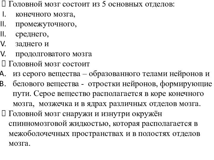 Головной мозг состоит из 5 основных отделов: конечного мозга, промежуточного, среднего,