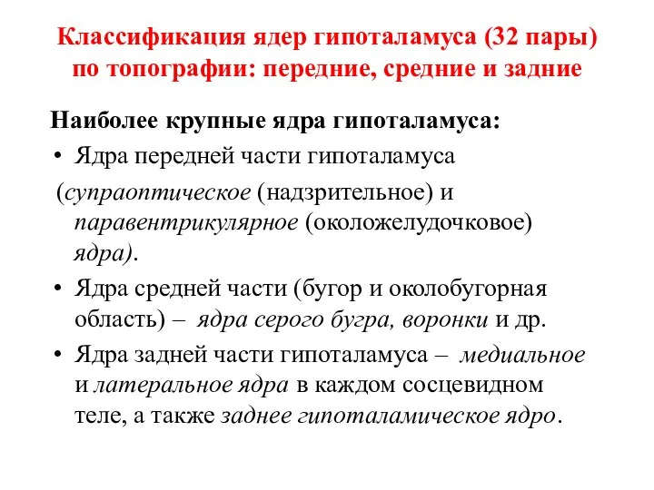 Классификация ядер гипоталамуса (32 пары) по топографии: передние, средние и задние