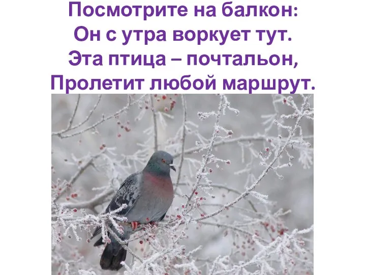 Посмотрите на балкон: Он с утра воркует тут. Эта птица – почтальон, Пролетит любой маршрут.