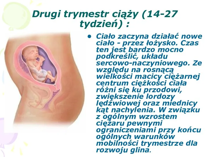 Drugi trymestr ciąży (14-27 tydzień) : Ciało zaczyna działać nowe ciało