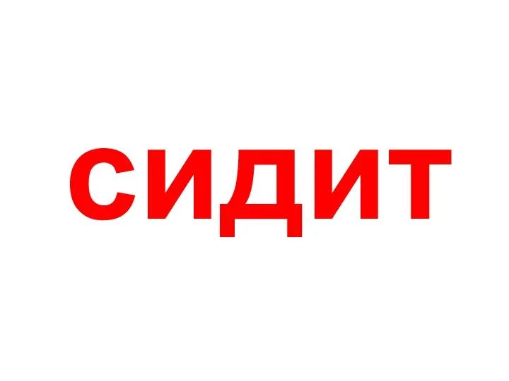 сидит Сидит.