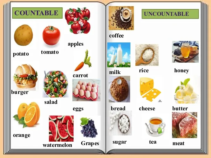 COUNTABLE UNCOUNTABLE potato tomato carrot burger salad eggs orange watermelon Grapes