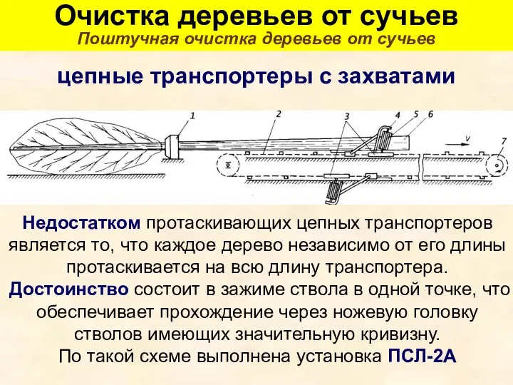 Очистка деревьев от сучьев Поштучная очистка деревьев от сучьев цепные транспортеры