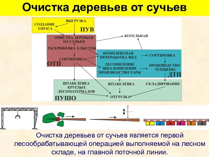 Очистка деревьев от сучьев Очистка деревьев от сучьев является первой лесообрабатывающей