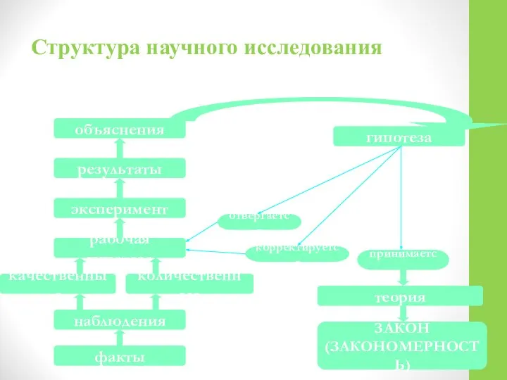 Структура научного исследования гипотеза эксперимент рабочая гипотеза количественные качественные наблюдения факты