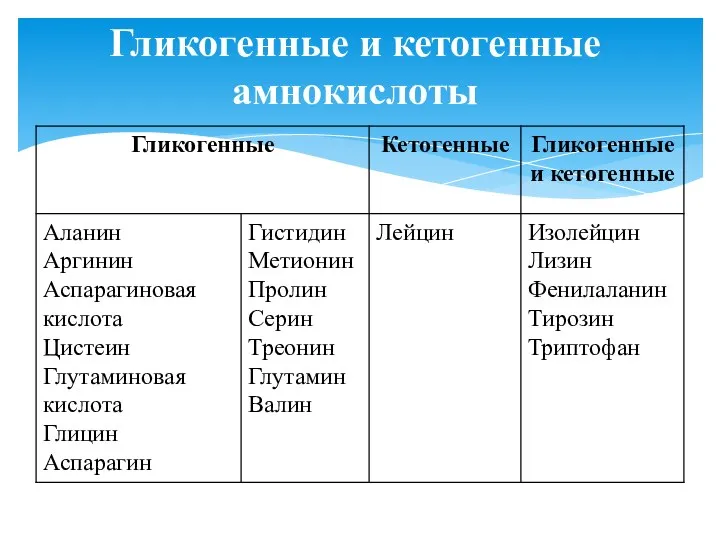 Гликогенные и кетогенные амнокислоты