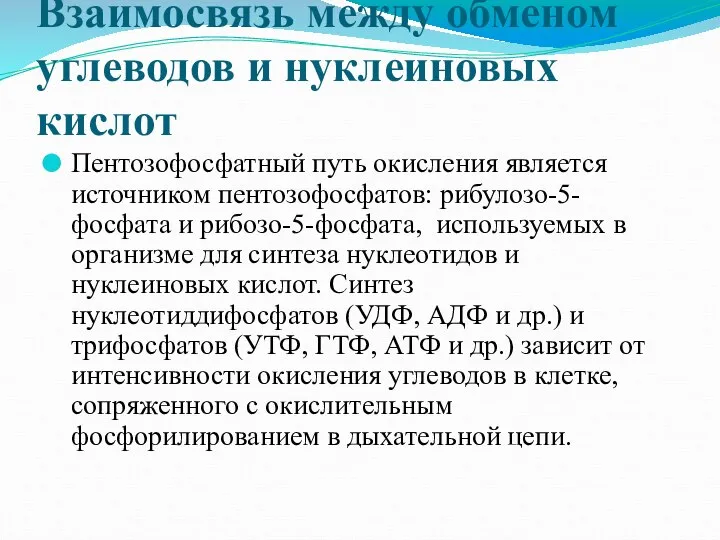 Взаимосвязь между обменом углеводов и нуклеиновых кислот Пентозофосфатный путь окисления является