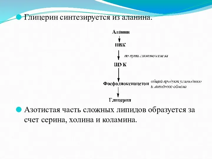 Глицерин синтезируется из аланина. Азотистая часть сложных липидов образуется за счет серина, холина и коламина.