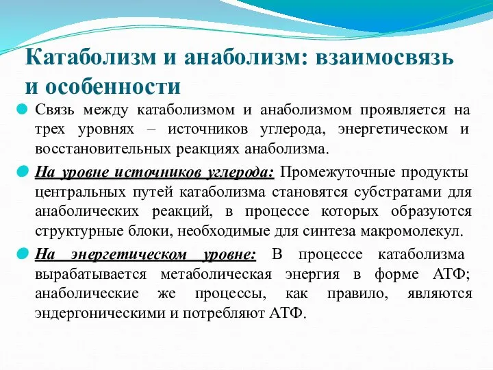 Катаболизм и анаболизм: взаимосвязь и особенности Связь между катаболизмом и анаболизмом