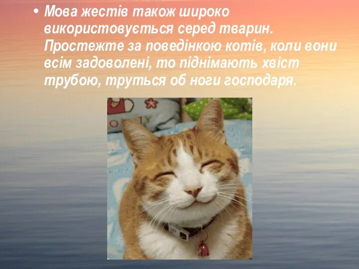 Мова жестів також широко використовується серед тварин. Простежте за поведінкою котів,