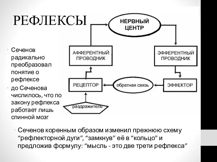 РЕФЛЕКСЫ Сеченов коренным образом изменил прежнюю схему “рефлекторной дуги”, “замкнув” её