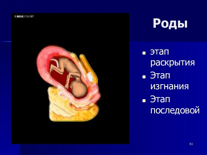 Роды этап раскрытия Этап изгнания Этап последовой