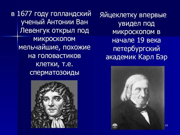 в 1677 году голландский ученый Антонии Ван Левенгук открыл под микроскопом