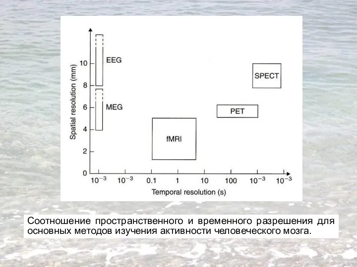 Соотношение пространственного и временного разрешения для основных методов изучения активности человеческого мозга.