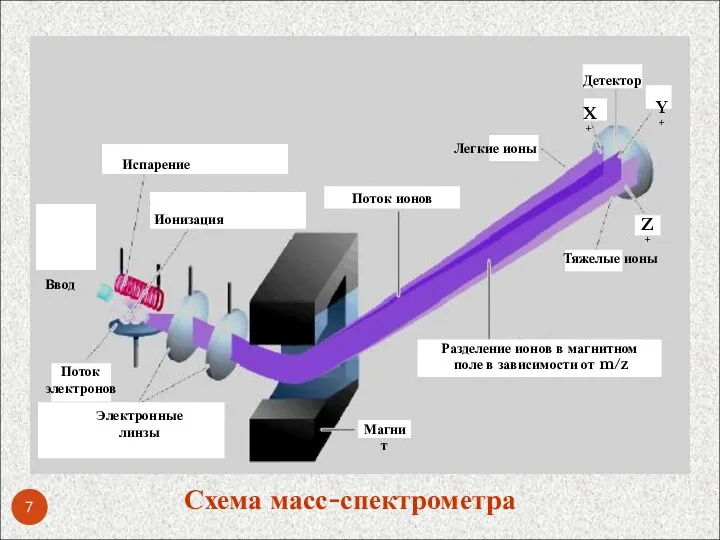 Ввод Испарение Ионизация Поток электронов Электронные линзы Магнит Поток ионов Разделение