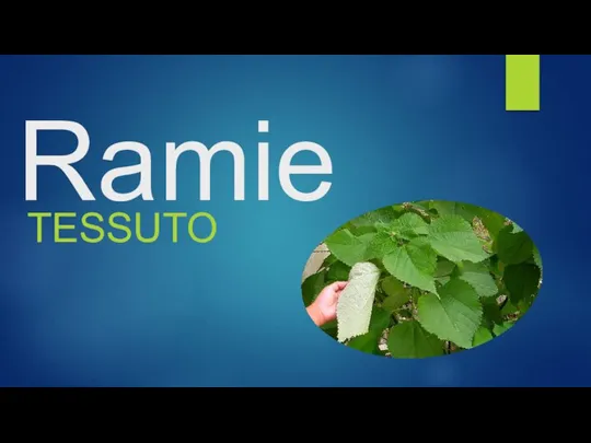 Ramie TESSUTO