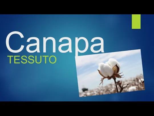 Canapa TESSUTO