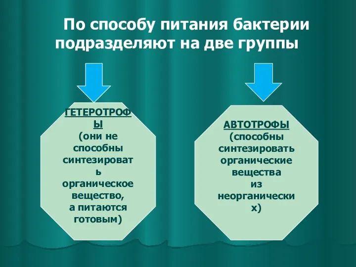 По способу питания бактерии подразделяют на две группы ГЕТЕРОТРОФЫ (они не