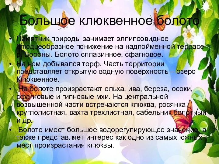 Большое клюквенное болото Памятник природы занимает эллипсовидное блюдцеобразное понижение на надпойменной