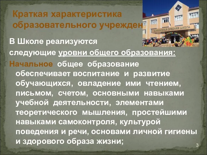 В Школе реализуются следующие уровни общего образования: Начальное общее образование обеспечивает