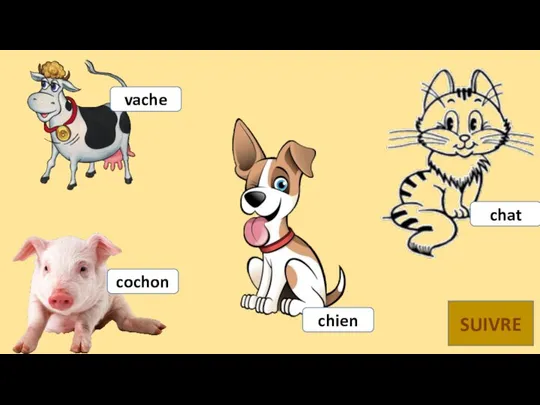 chat chien cochon vache SUIVRE