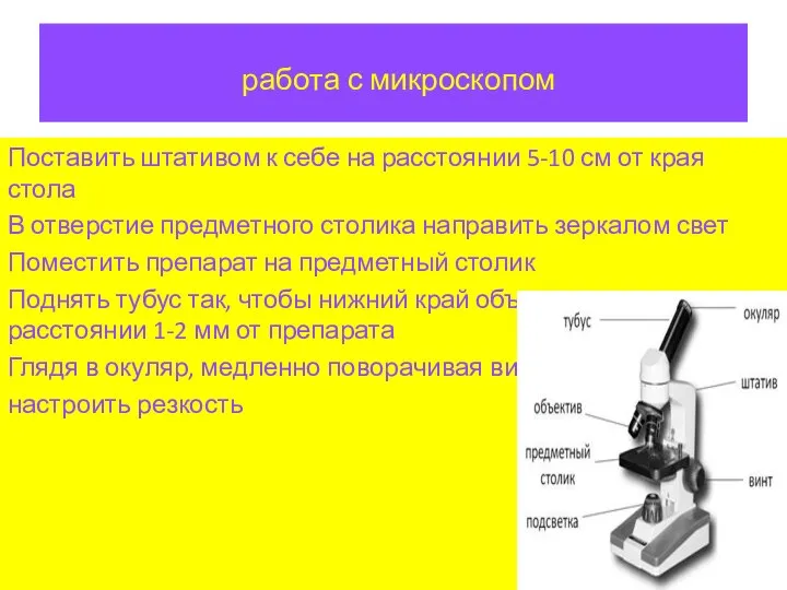 работа с микроскопом Поставить штативом к себе на расстоянии 5-10 см