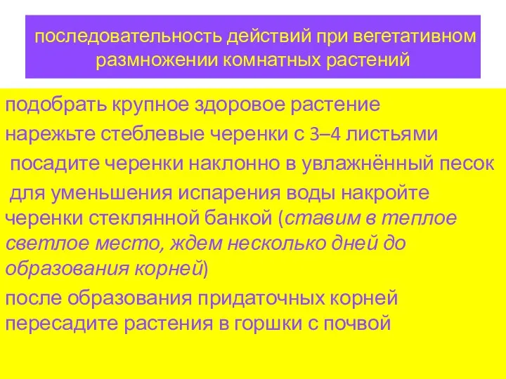 последовательность действий при вегетативном размножении комнатных растений подобрать крупное здоровое растение