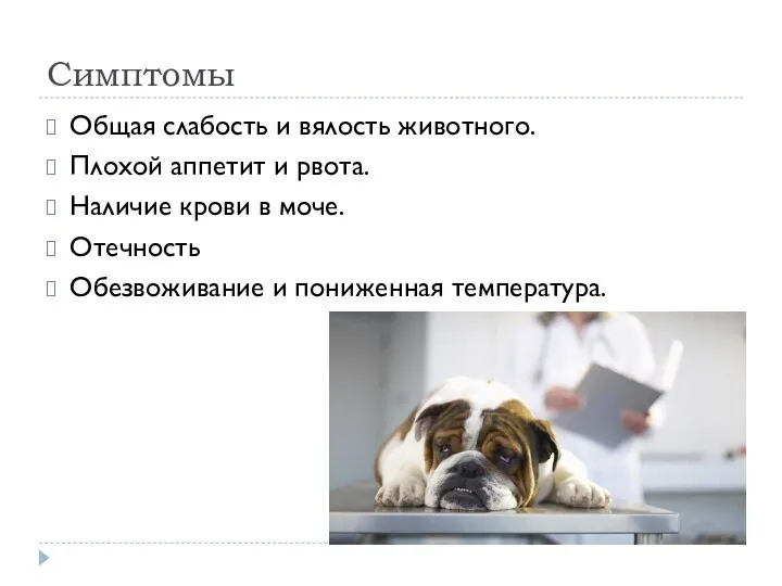 Симптомы Общая слабость и вялость животного. Плохой аппетит и рвота. Наличие