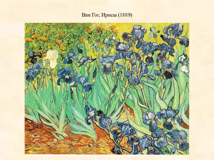 Ван Гог, Ирисы (1889)