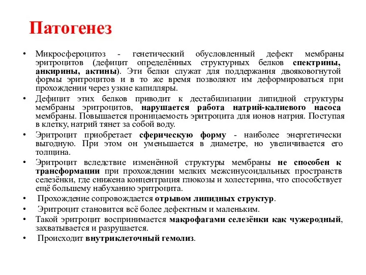 Микросфероцитоз - генетический обусловленный дефект мембраны эритроцитов (дефицит определённых структурных белков