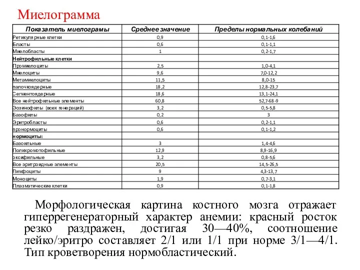 Морфологическая картина костного мозга отражает гиперрегенераторный характер анемии: красный росток резко