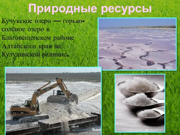Природные ресурсы Кучу́кское о́зеро — горько-солёное озеро в Благовещенском районе Алтайского края на Кулудинской равнине.