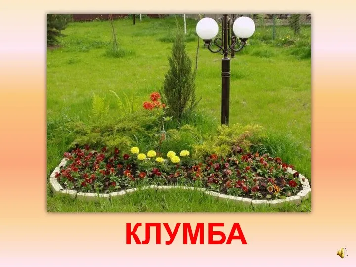 КЛУМБА