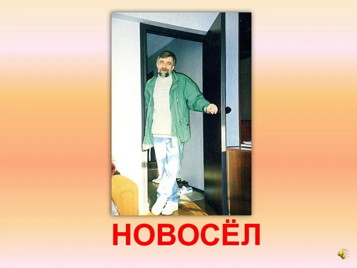 НОВОСЁЛ