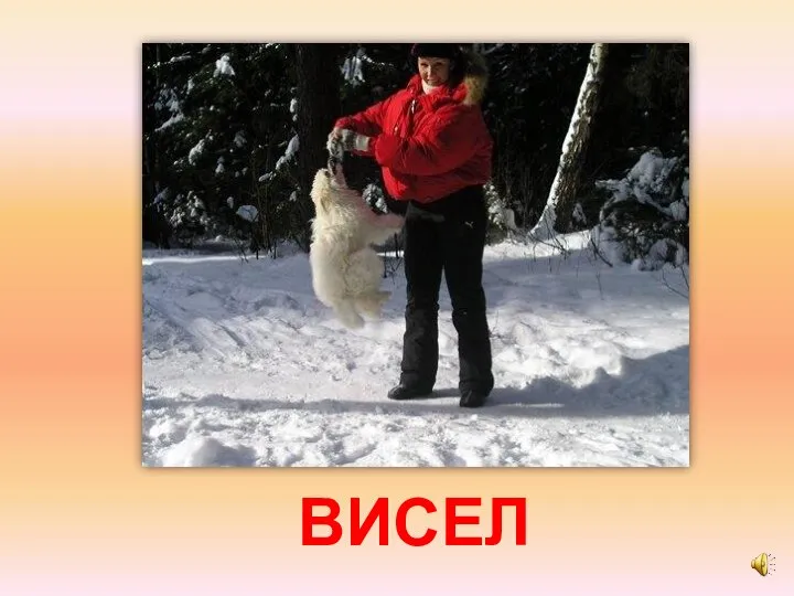 ВИСЕЛ