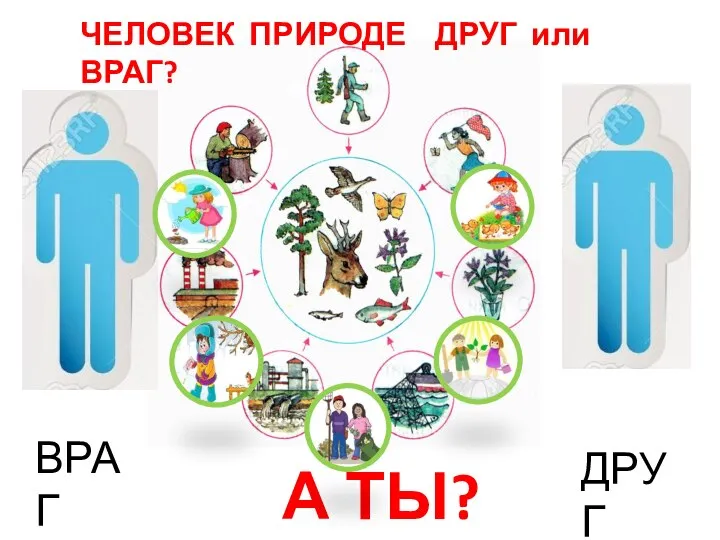 ВРАГ ДРУГ А ТЫ? ЧЕЛОВЕК ПРИРОДЕ ДРУГ или ВРАГ?